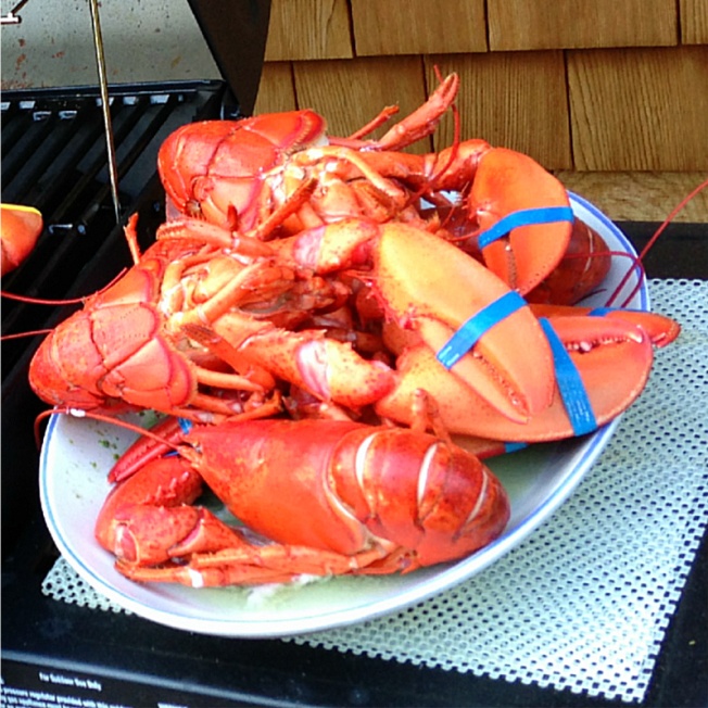 yummy lobster
